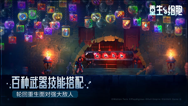 重生细胞苹果版v3.5.10(3)