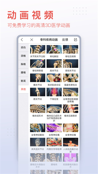 3dbody解剖圖手機版