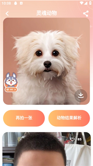 靈魂寵物app