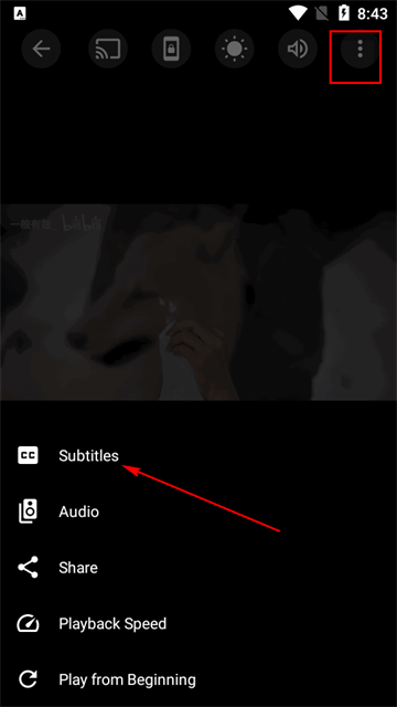 SX Player播放器APP