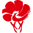 放新办app2025最新版本