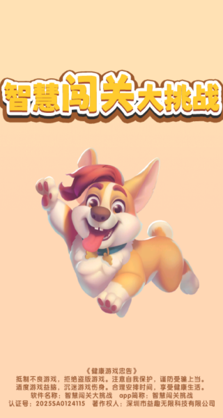 智慧闯关大挑战