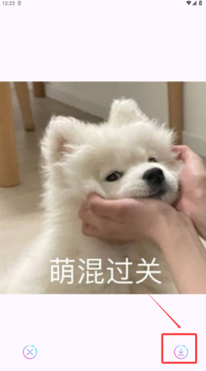 掌尚笑果