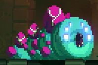 重生细胞国际服最新版本