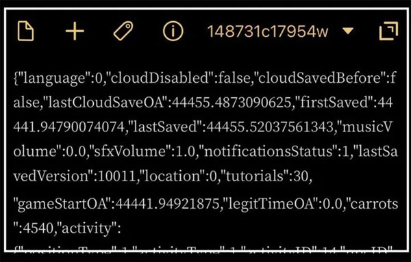 月兔漫游国际服