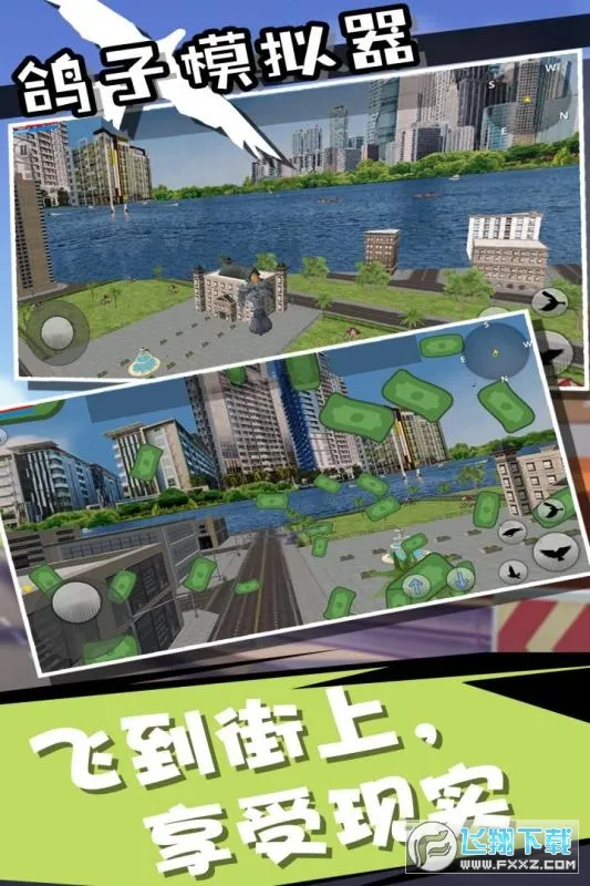 鸽子模拟器(鸽子模拟游戏)(2)