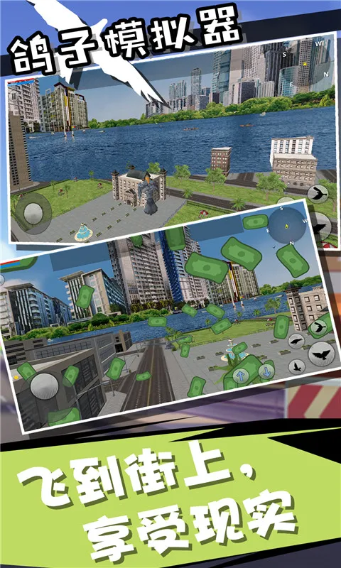 鸽子模拟器(鸽子模拟游戏)(3)