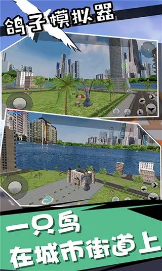 鸽子模拟器(鸽子模拟游戏)(4)