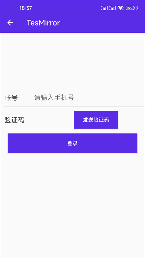 tesmirror特斯拉投屏神器v2.0.4(2)