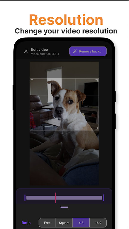 视频背景移除器app(PixelZap)v1.1.0(4)