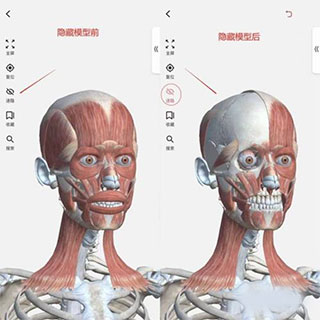 3dbody解剖苹果版