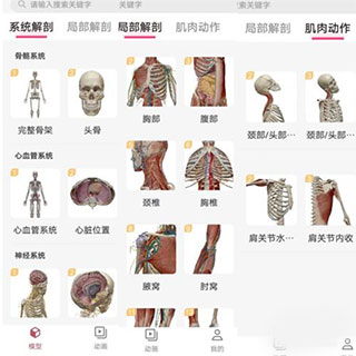 3dbody解剖苹果版