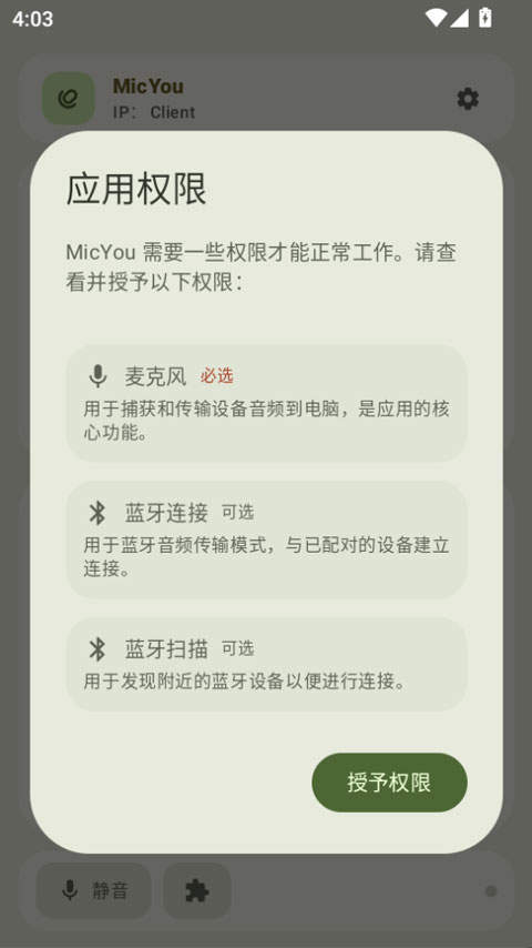 micyou appv1.3.0(1)