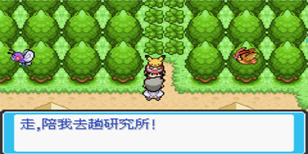 口袋妖怪去吧皮卡丘v5.0(3)