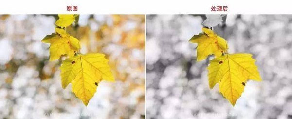 snapseed苹果手机版