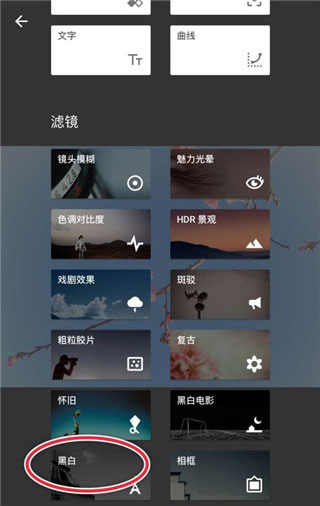 snapseed苹果手机版