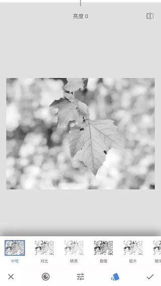 snapseed苹果手机版