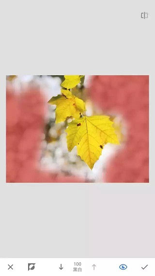 snapseed苹果手机版