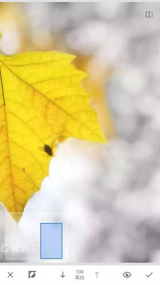 snapseed苹果手机版